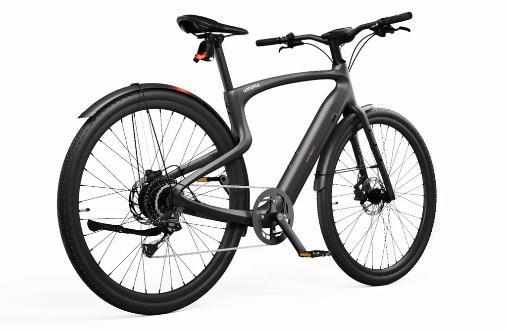 Carbon 1 Pro E-Bike