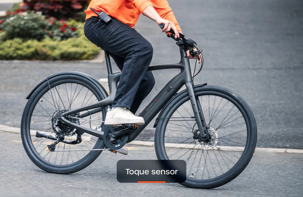Carbon 1 Pro E-Bike