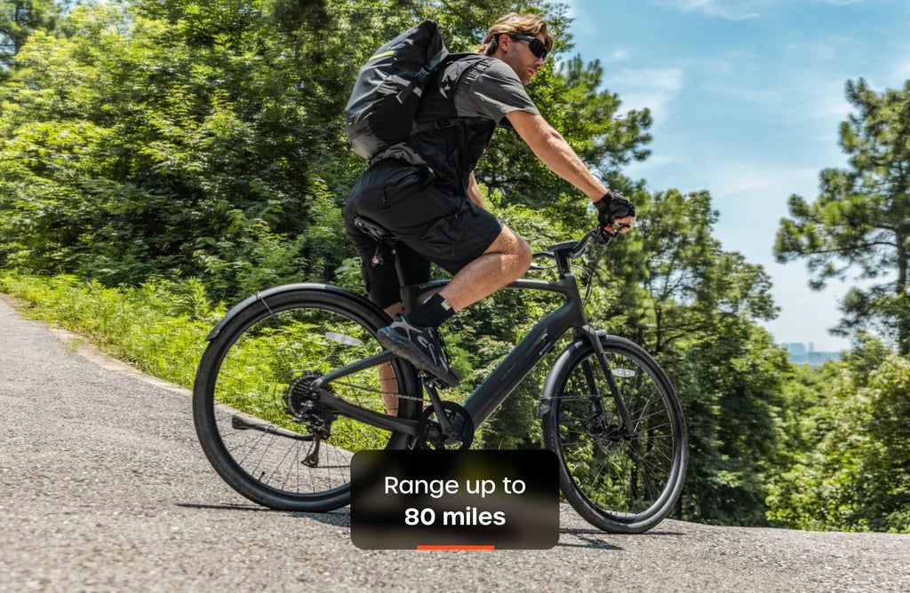Carbon 1 Pro E-Bike